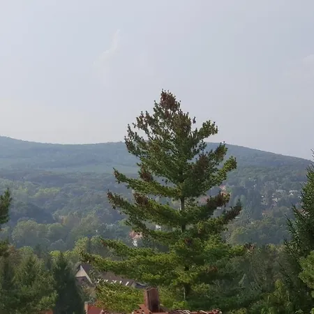 Nyaraló Siraly Miskolc
